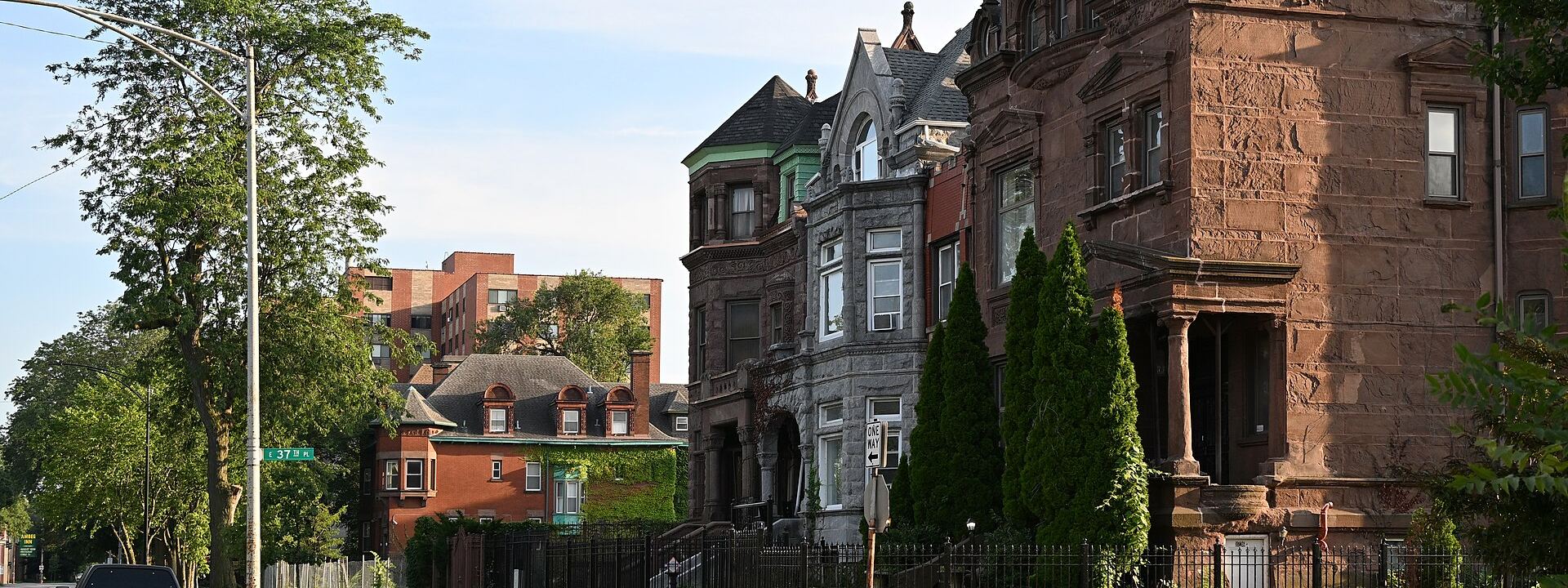 Greystone and brick houses on South Michigan Avenue, Chicago, shaded by mature street trees.